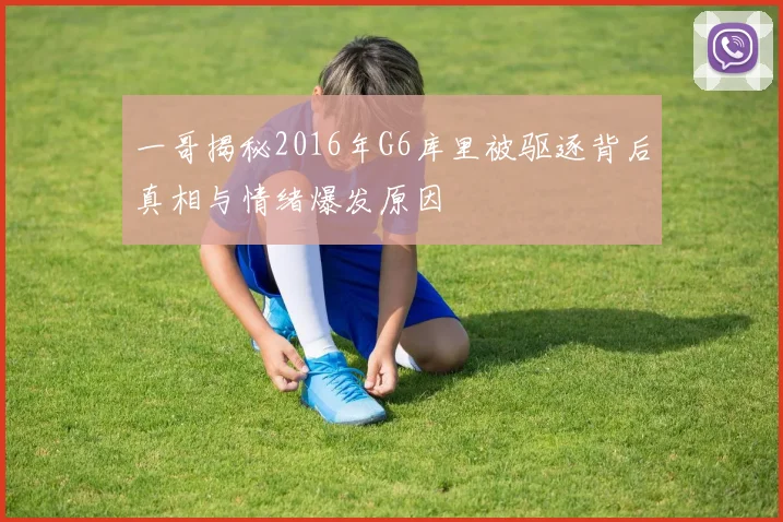 一哥揭秘2016年G6库里被驱逐背后真相与情绪爆发原因