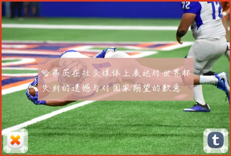 哈弗茨在社交媒体上表达对世界杯失利的遗憾与对国家期望的歉意