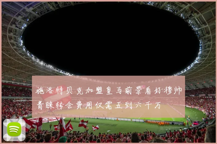 施洛特贝克加盟皇马前景看好穆帅青睐转会费用仅需五到六千万