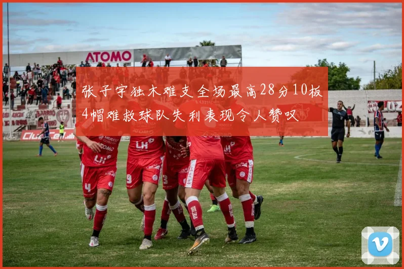 张子宇独木难支全场最高28分10板4帽难救球队失利表现令人赞叹