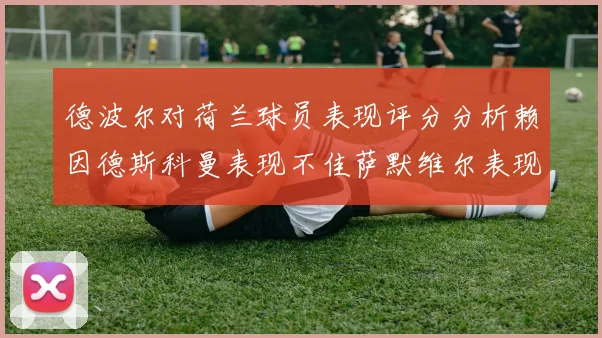 德波尔对荷兰球员表现评分分析赖因德斯科曼表现不佳萨默维尔表现出色